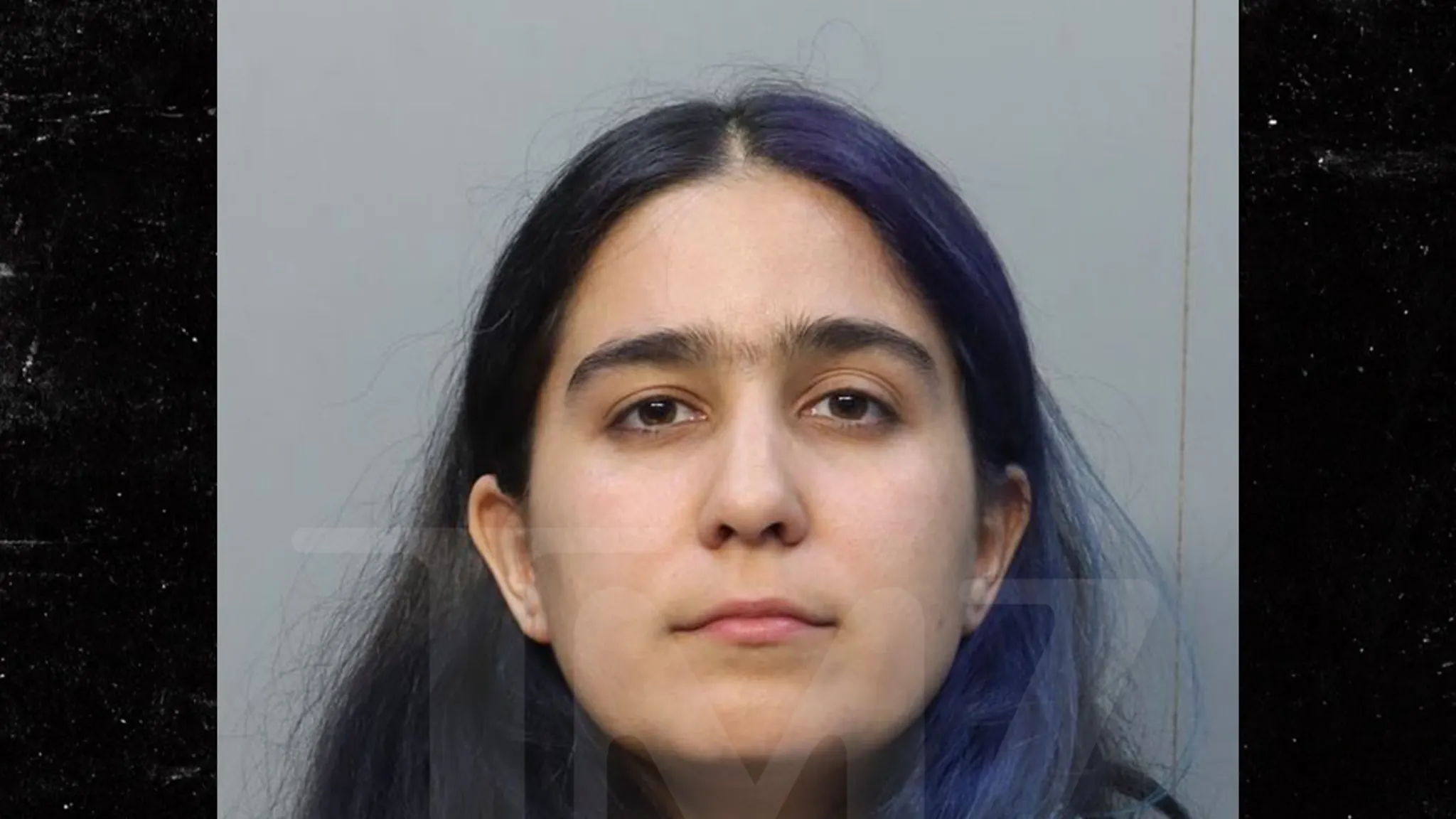 Featured image for Emily Estefan's Partner Arrested for Robbery and Assault