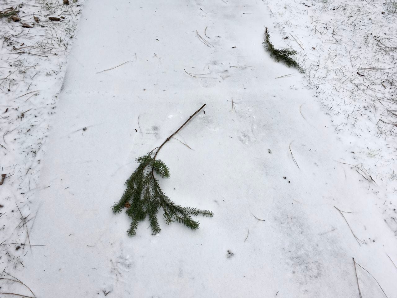 "Portland Braces for Snowstorm and Arctic Blast, Mt. Hood Ski Resorts Set to Open"