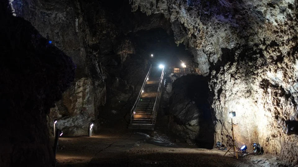 3D facial reconstruction uncovers Little Foot’s face, reshaping view of early human evolution