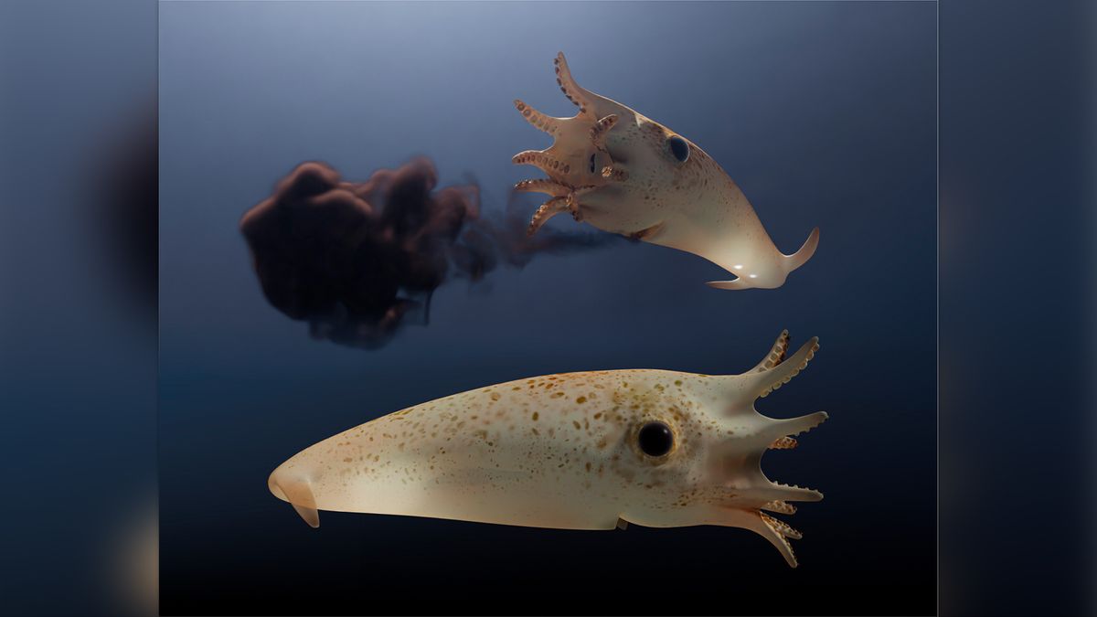 "Glow-in-the-dark vampire terrorized Jurassic oceans, fossil shows"