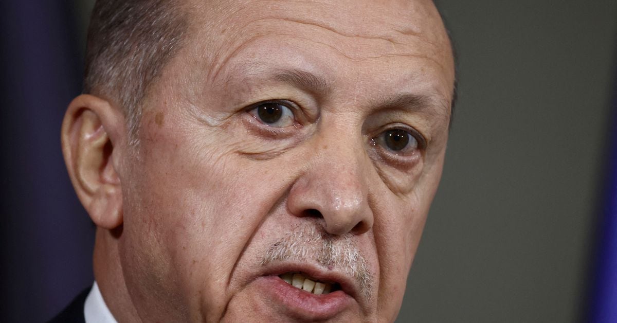 Erdogan Urges International Courts to Prosecute Israel for Gaza Crimes