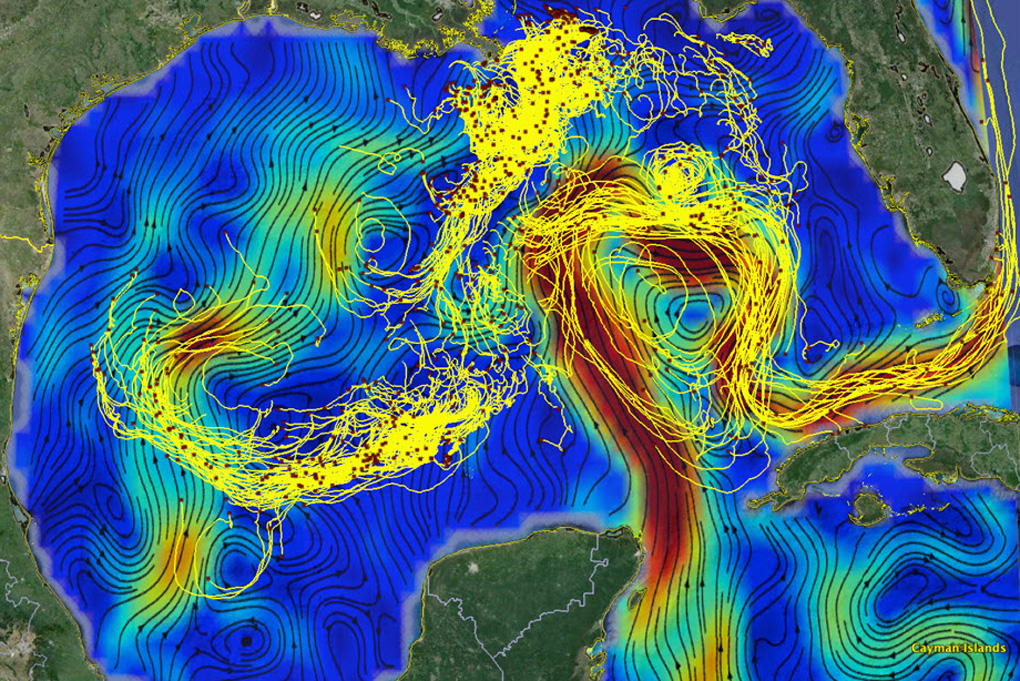 Improving Ocean Current Studies with Machine Learning