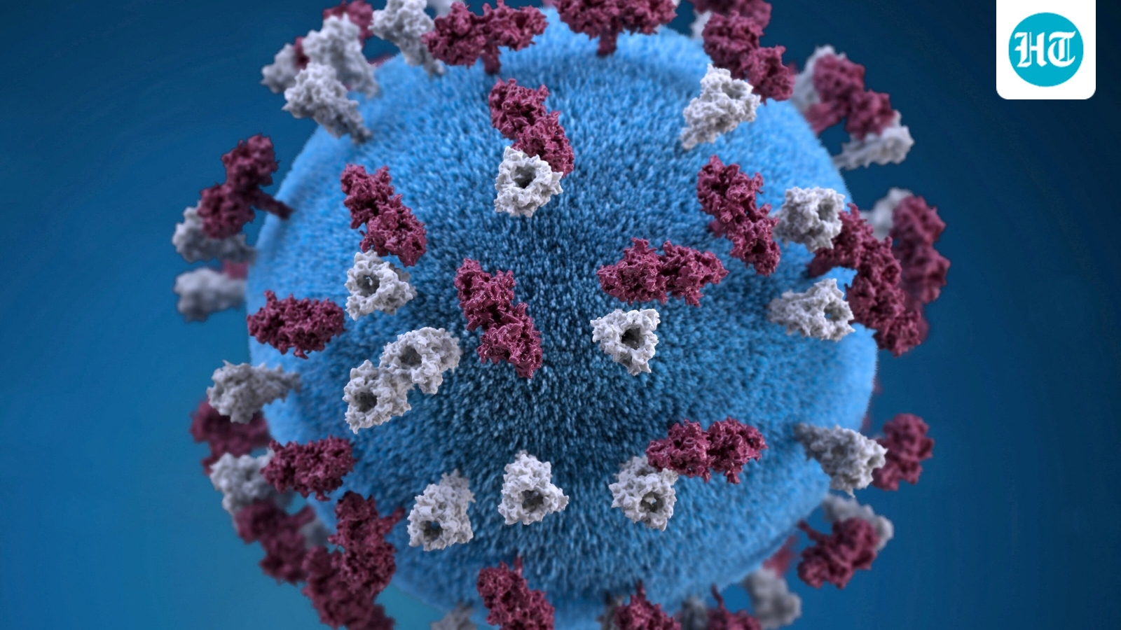 South Carolina Measles Outbreak Expands Amid Holiday Travel