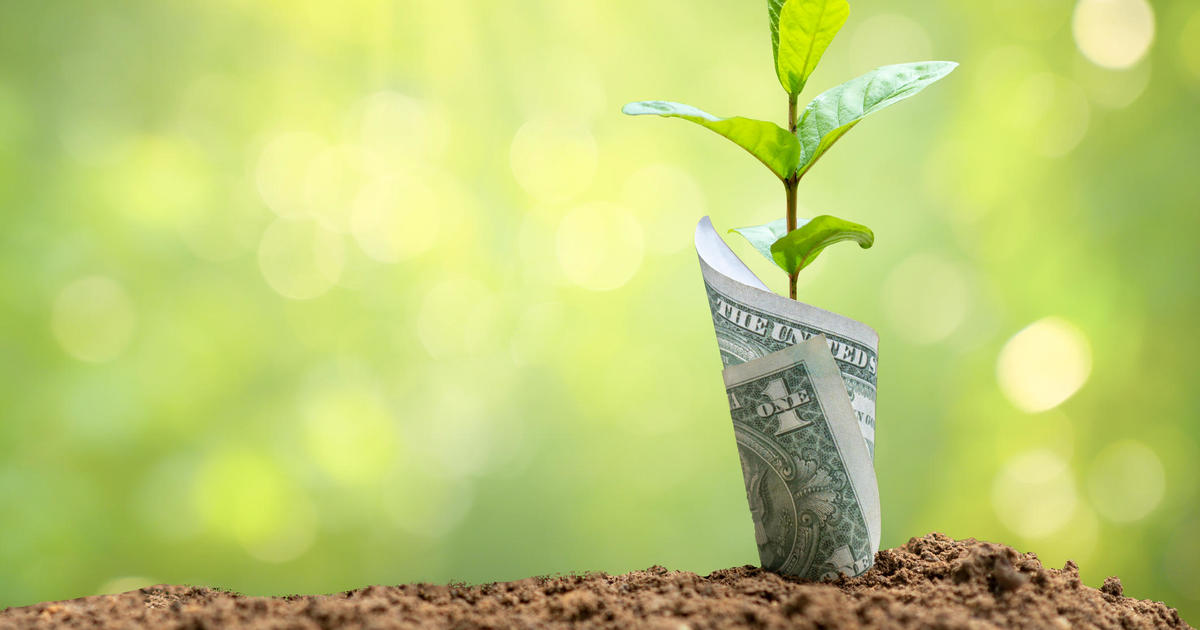 Featured image for "Maximizing Your Earnings: Securing the Best CD Rates Today"