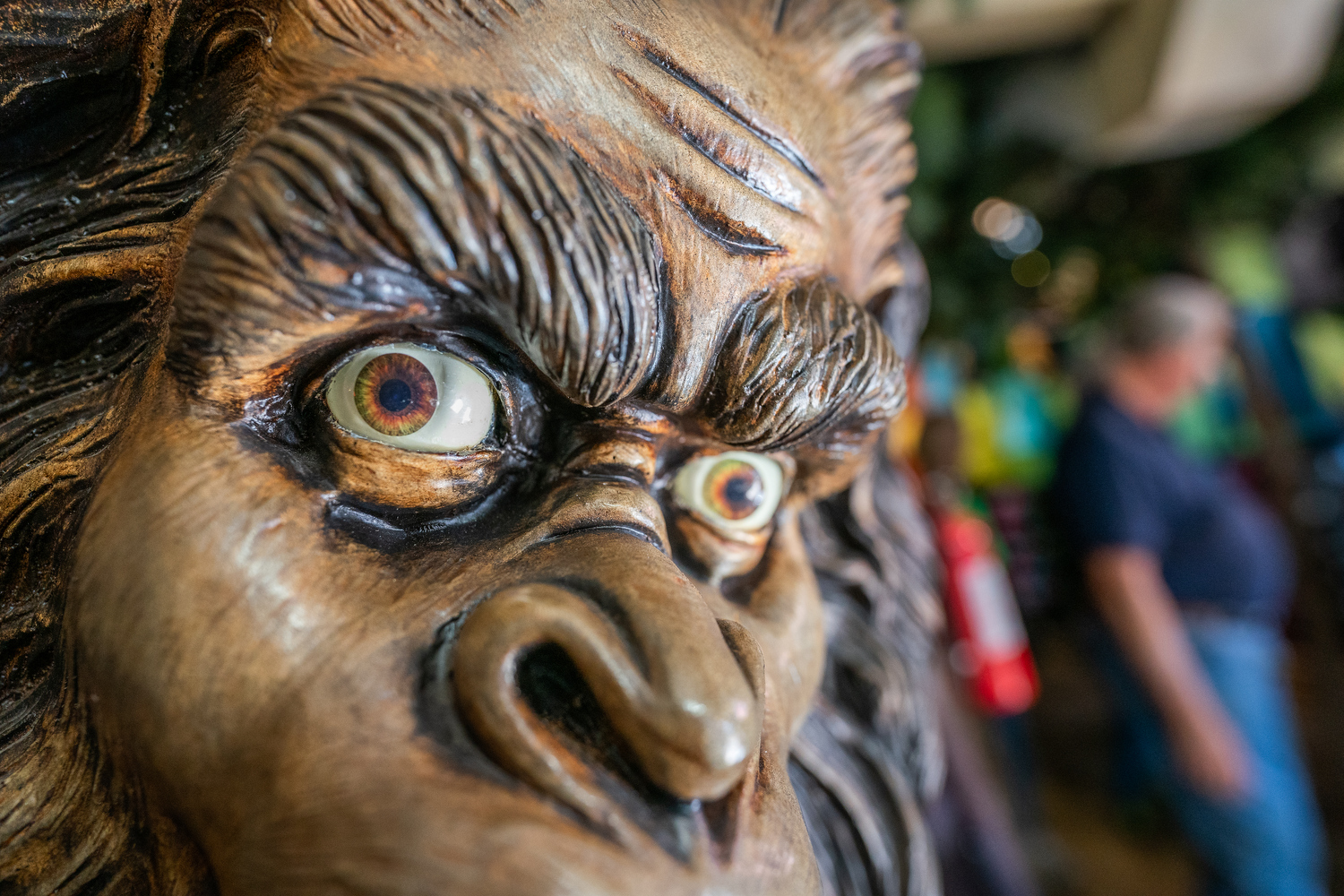 Featured image for "Colorado Museum Investigates Bigfoot Belief: Do You?"