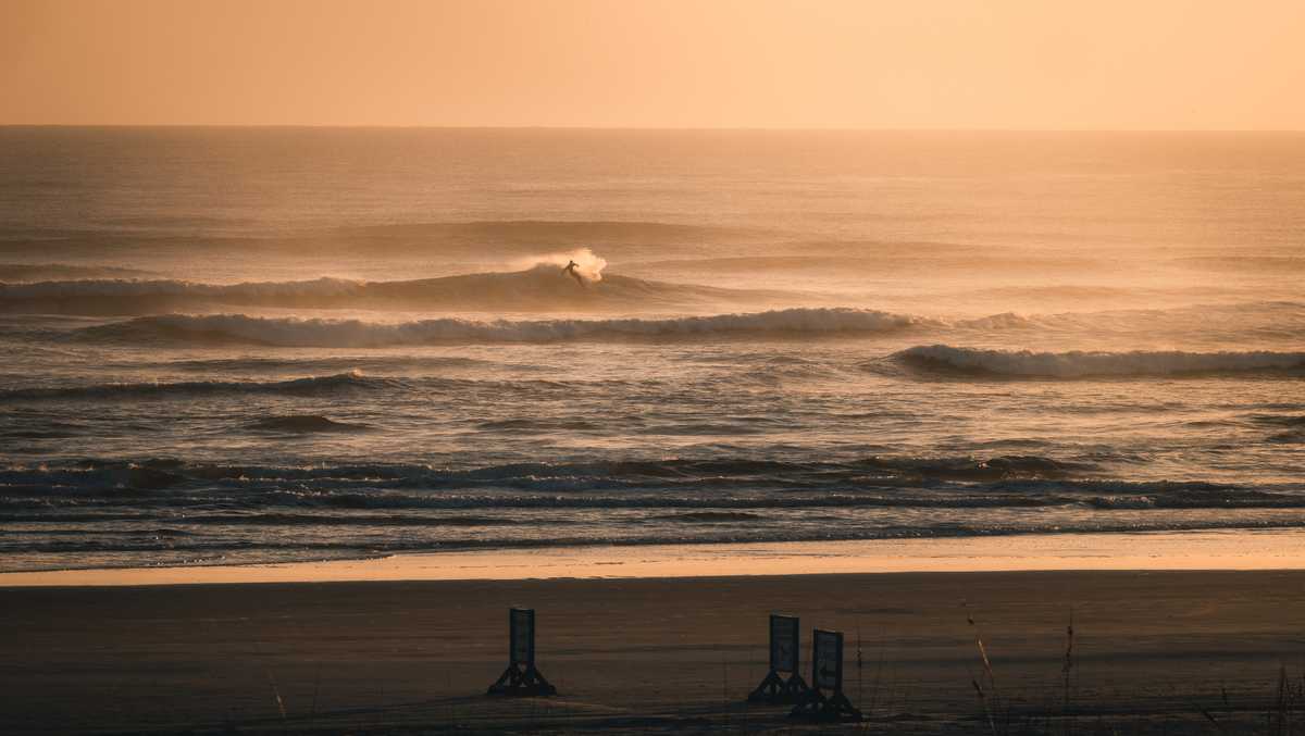 Featured image for Shark Attack Survivors Overcome Injuries and Continue to Pursue Their Passion for Surfing