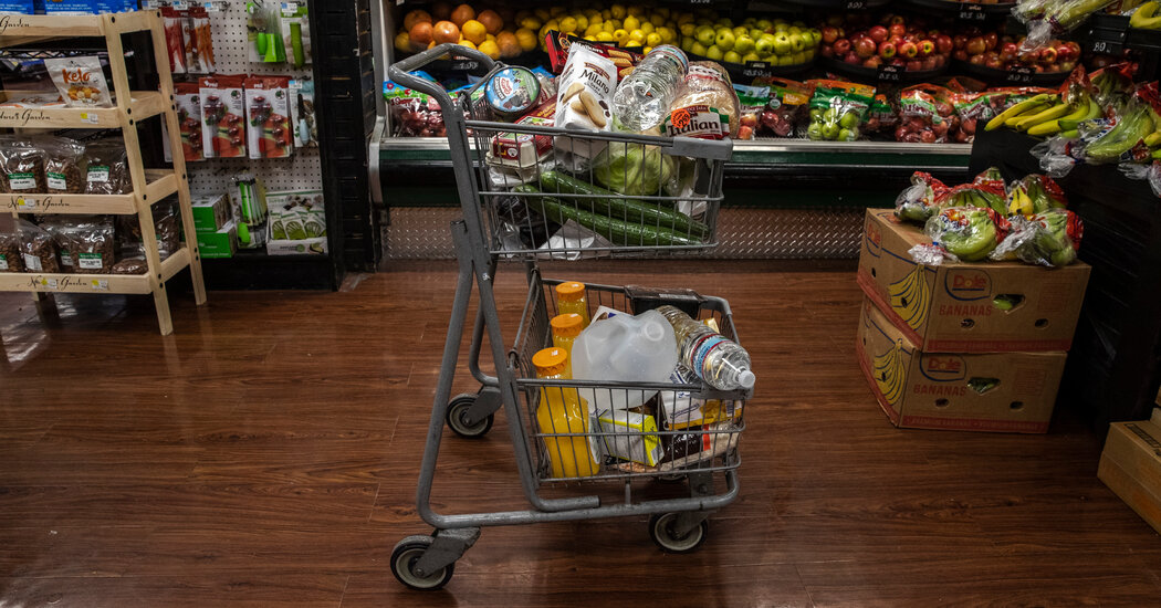 Instacart's Profit Soars, but Slowing Growth Raises Concerns Ahead of IPO