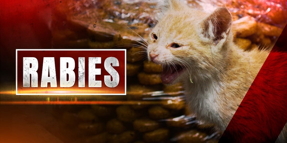 Rabies Alert Issued for Parts of Alachua County by Department of Health