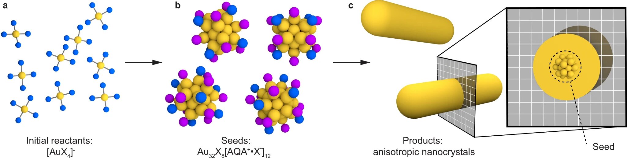 Featured image for "Surprising Discovery: Gold Buckyballs and Nanoparticle 'Seeds' are Identical"