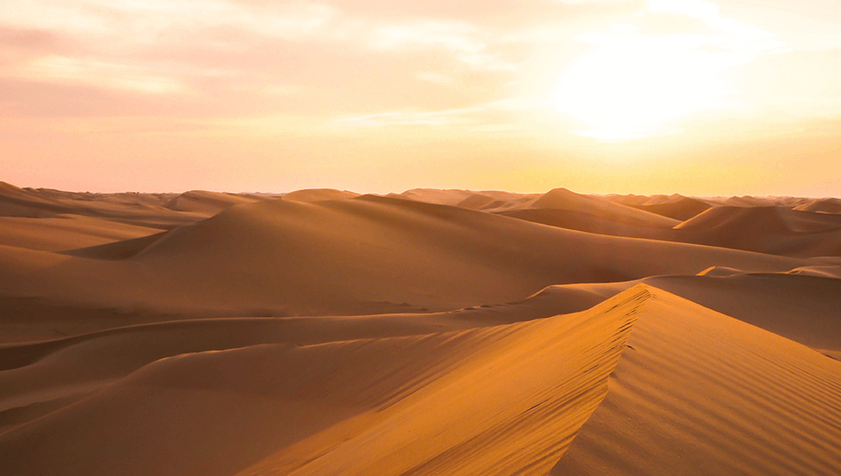 Featured image for Unveiling the Secrets of Sand and Desert Sand