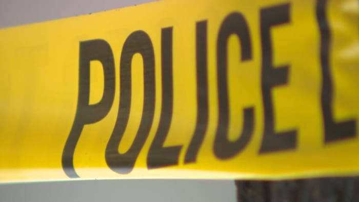 Tragic Drownings Claim Lives of Two 4-Year-Old Children in Harris County