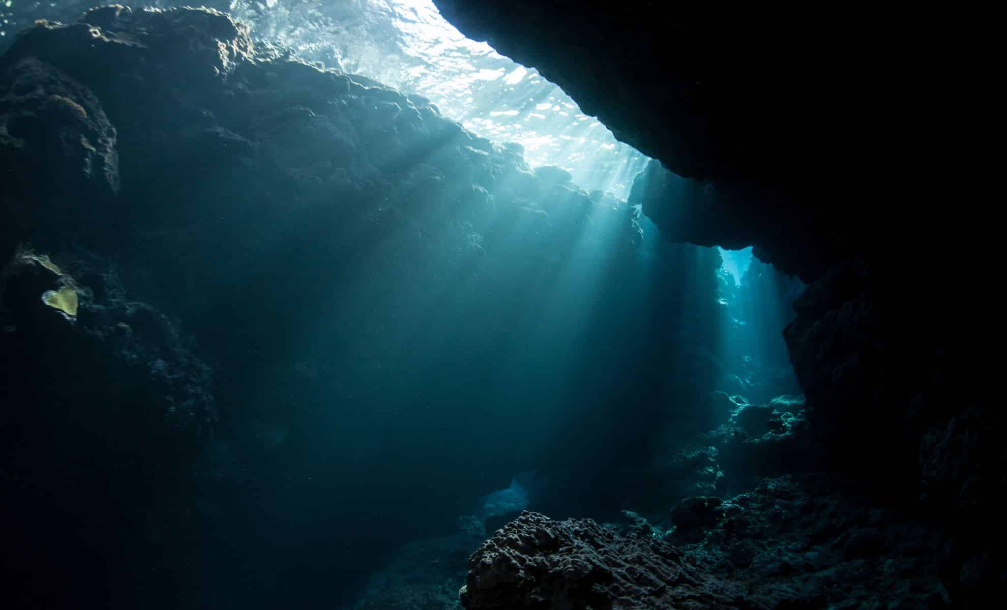 Featured image for Scientists Discover New Predator in Ocean's Mysterious Zone