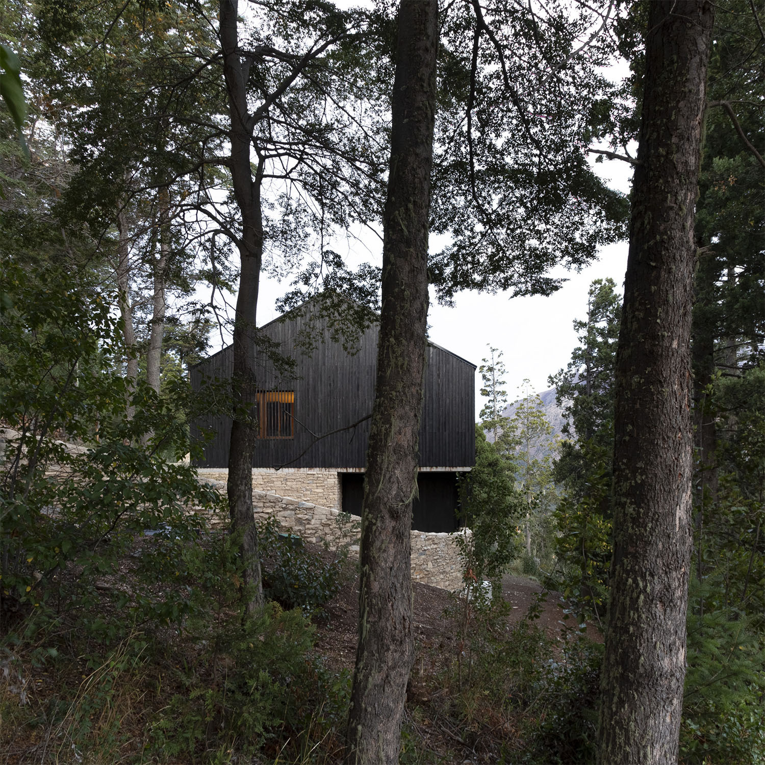 Featured image for "Grimaldi-Nacht Architects Design Stunning Plaza House"