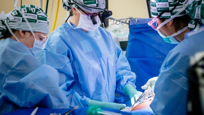 Successful Long-Term Pig Kidney Transplants in Humans: Promising Progress towards Clinical Trials
