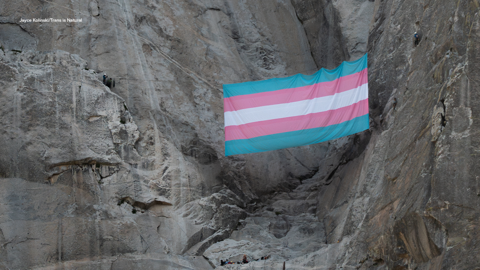 Featured image for Yosemite ranger and scientist fired over Trans Pride flag display