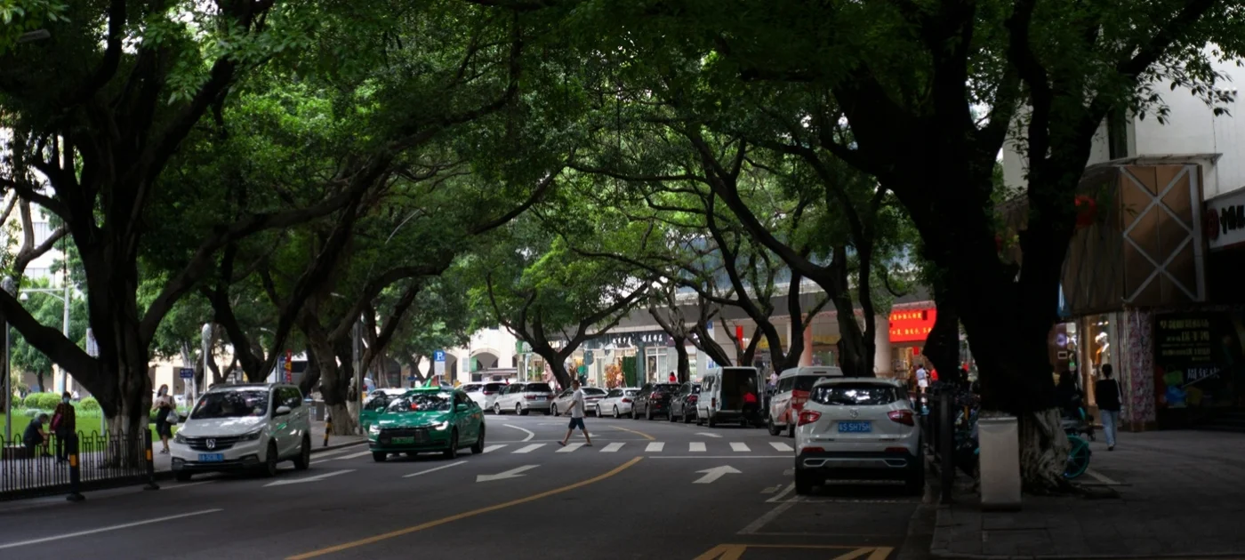 Featured image for Sustainable Cooling: A Cost-Effective Solution to Rising Heat and Emissions