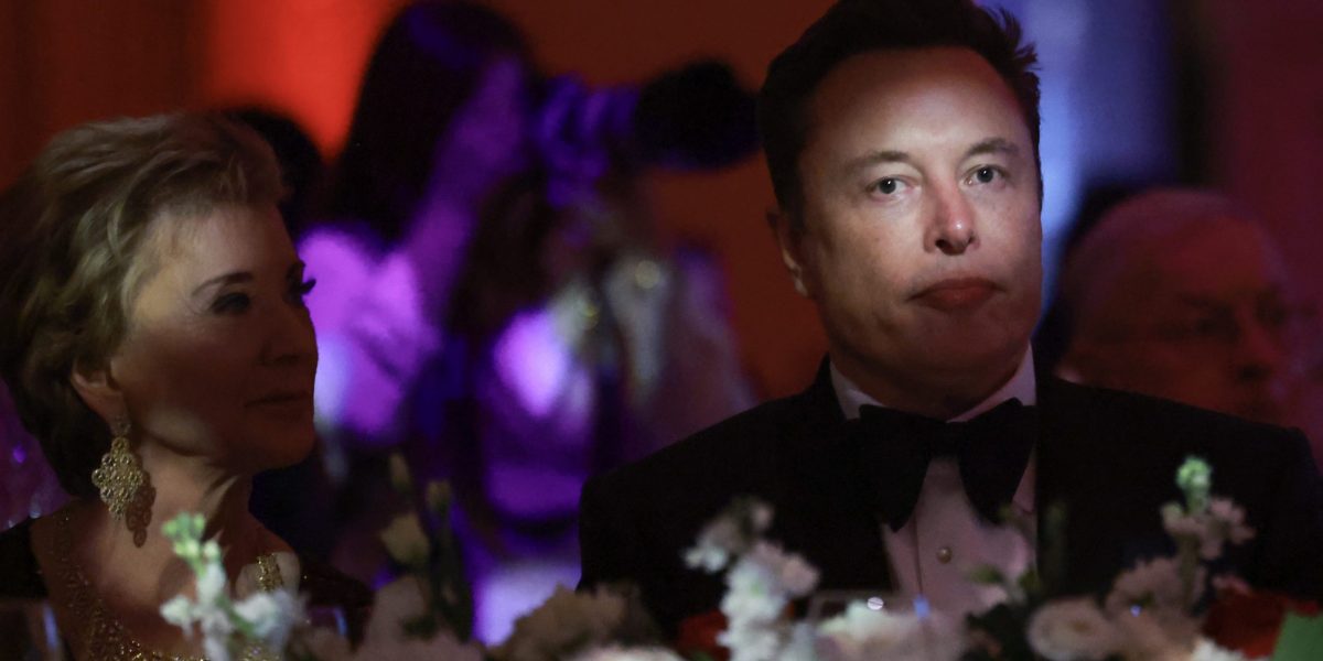 Elon Musk's Government Overhaul: A Data-Driven Revolution