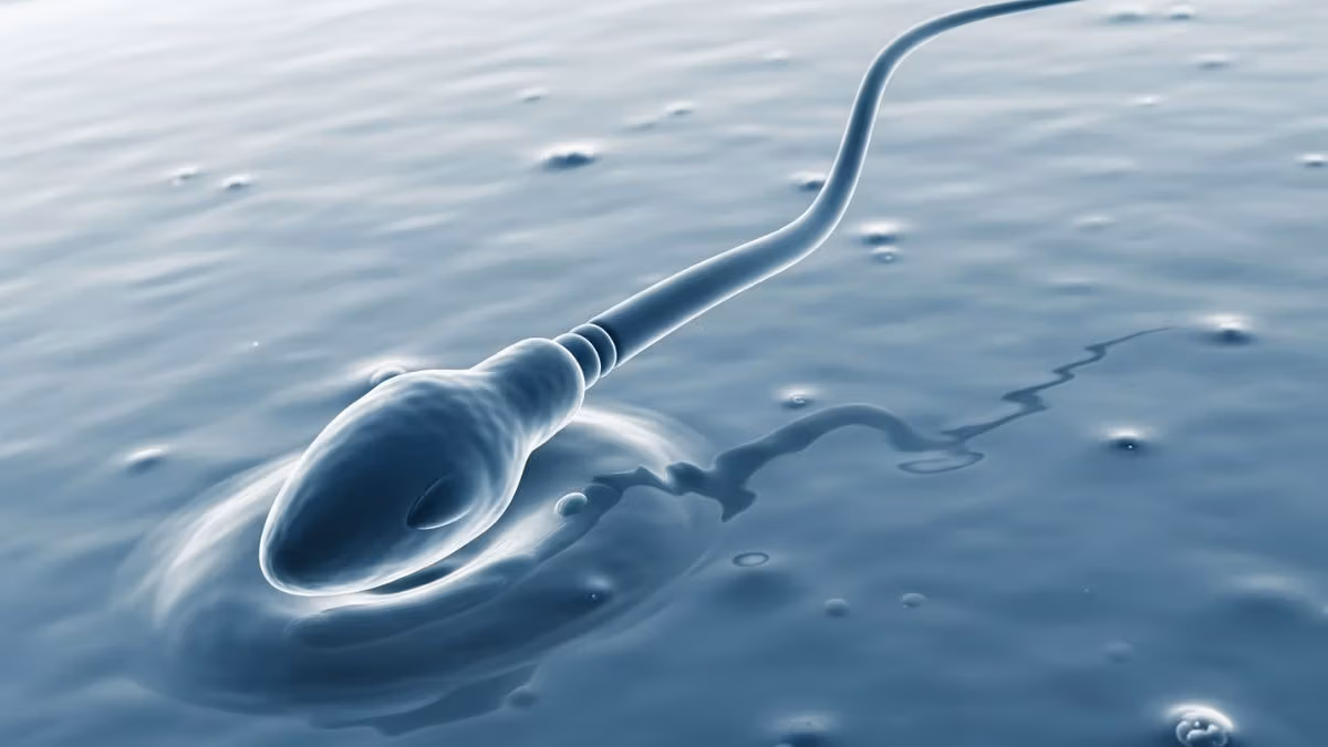 Featured image for Research Reveals Human Sperm's Unique Motion Challenge to Newton's Third Law