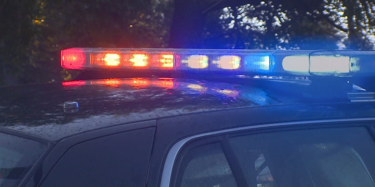 Featured image for "Father in Lake Oswego Accused of Drugging Girls at Daughter's Sleepover"