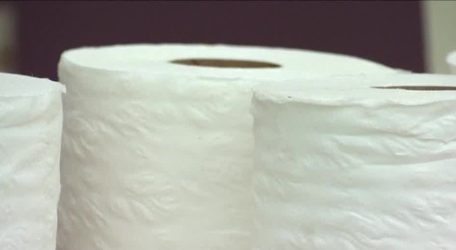 Featured image for "The True Cost of Toilet Paper: Beyond the Price Tag"