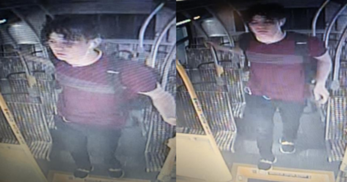 Featured image for Rising Safety Concerns on LA's Metro Transit System Following Recent Stabbing Incident