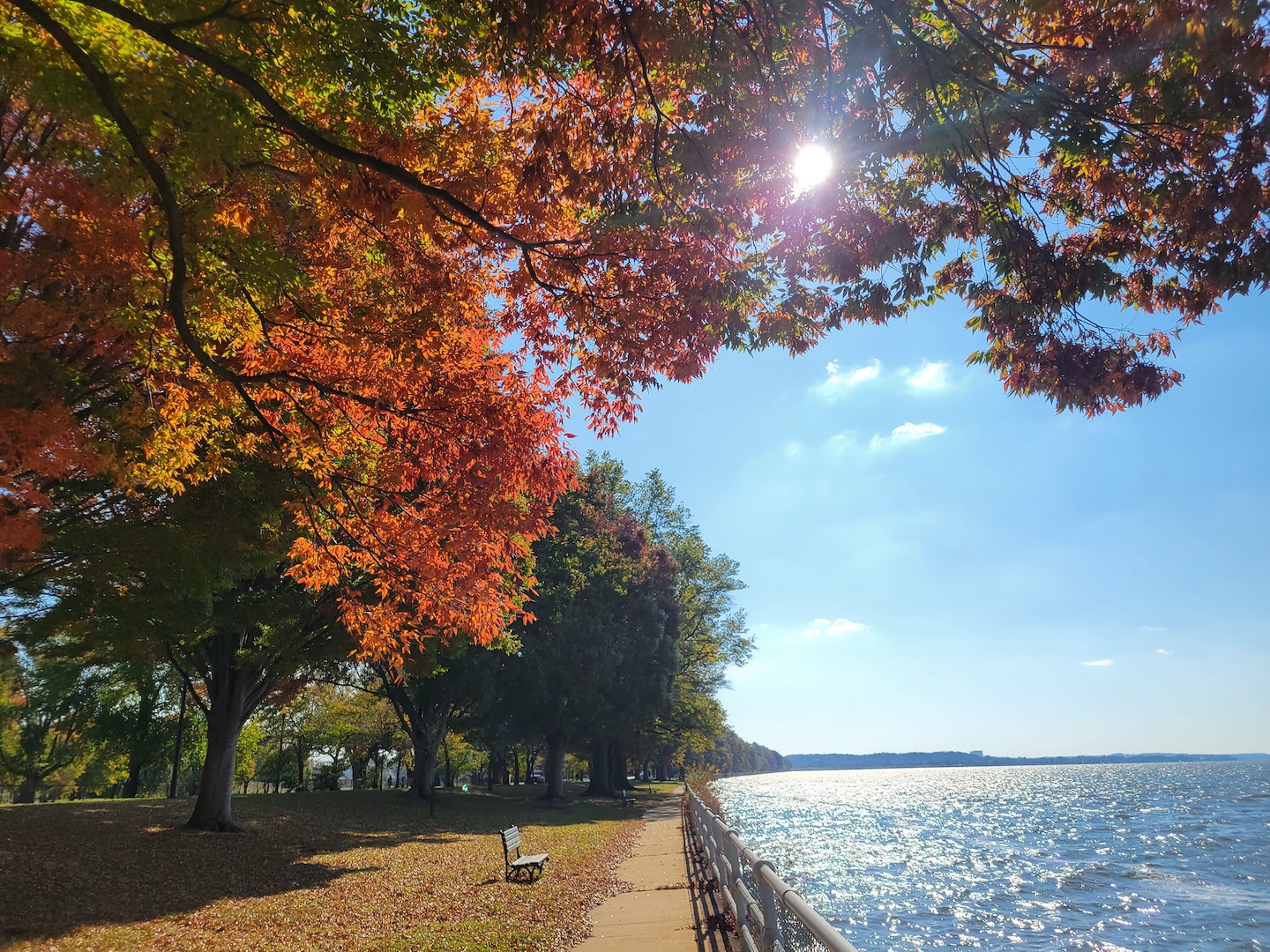Temperature Trend: From Cool to Milder, D.C. Area Warms Up