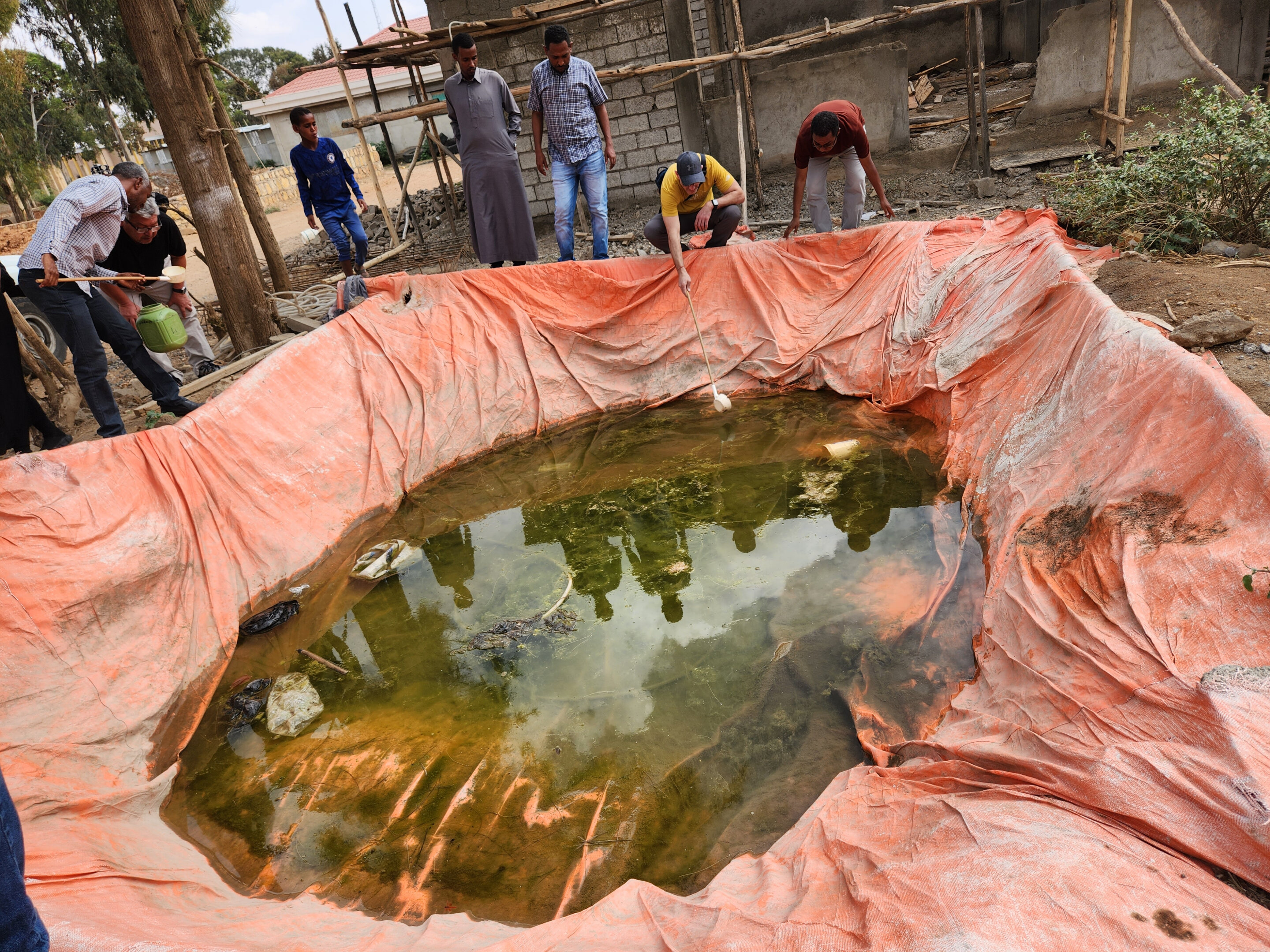 Featured image for "Mosquito Menace: Ethiopia's Building Boom Fuels Malaria-Carrying Invasion"