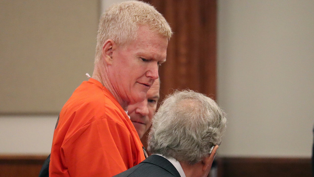 "Alex Murdaugh's Plea Deal: Unraveling a Mountain of Financial Crimes"