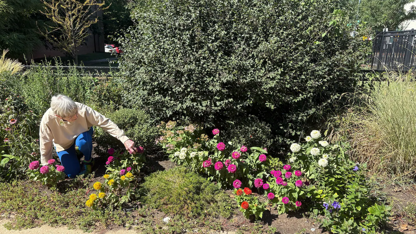 Mastering Longevity: Key Habits to Age Gracefully and Stay Healthy