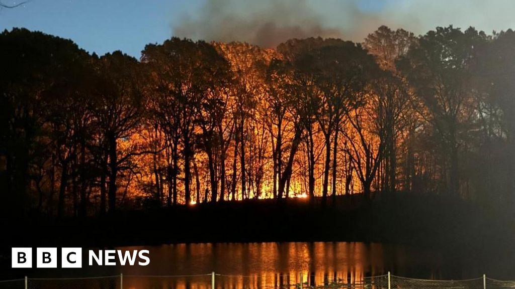 Tragic Loss: Teenage Park Ranger Dies in New York Wildfires