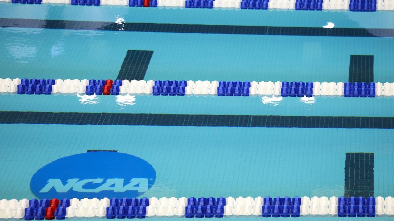 Featured image for "2024 NCAA Women's Swimming Championships: Schedule, Results, and Highlights"