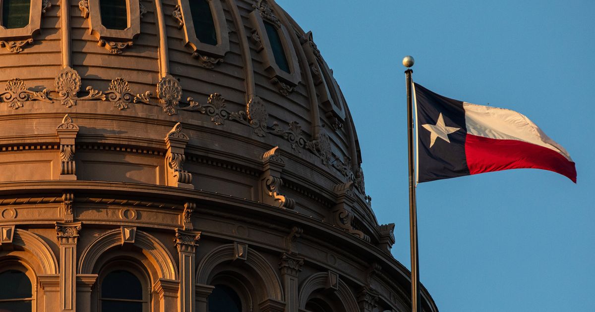 Texas Bans Diversity and Inclusion Programs in Public Universities