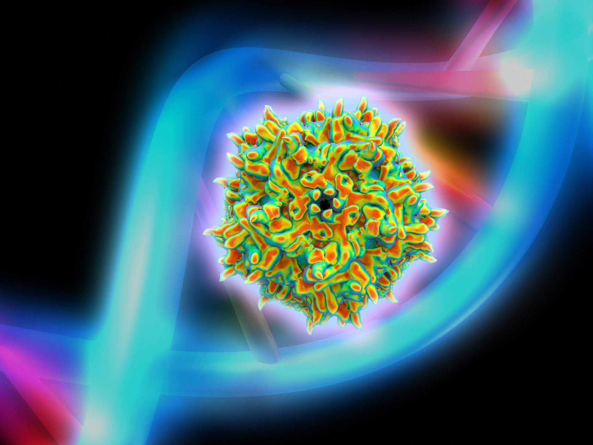 Featured image for In Vivo Prime Editing Achieved with Dual AAVs.