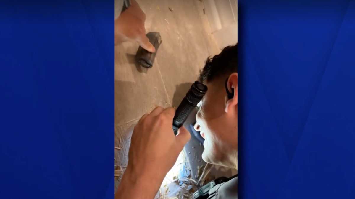 Featured image for "NASA Confirms Space Junk Crashed Through Family's Roof in Startling Video"