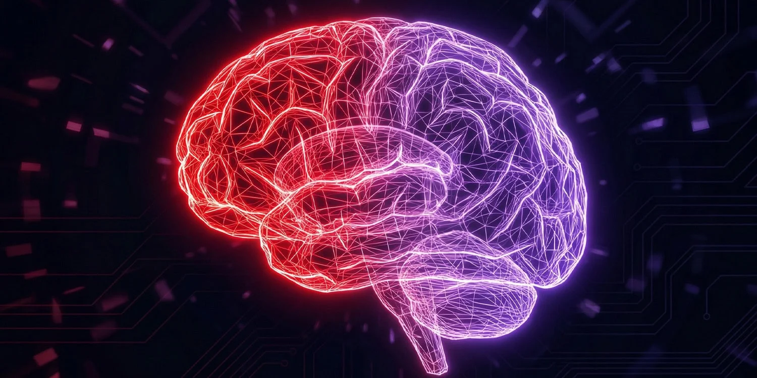 Romance’s brain signature softens over time, study finds