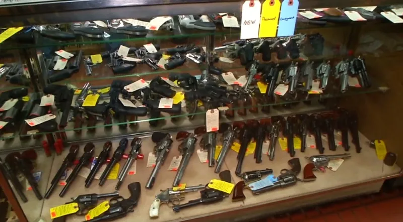 "Legislative Efforts to Regulate Firearm Sales and Credit Card Privacy"