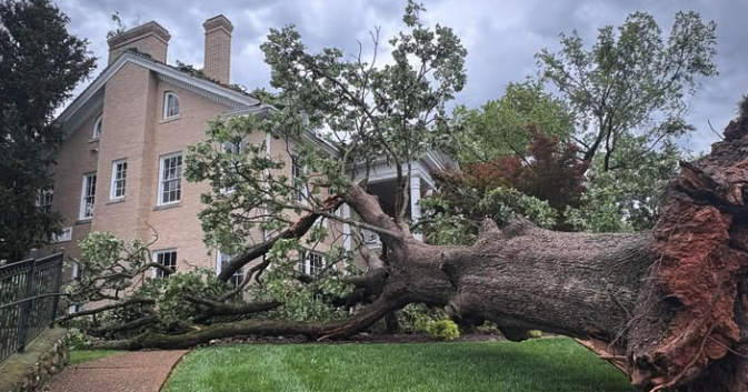 Featured image for Severe Storms Cause Widespread Damage and Power Outages Across Alabama and Tennessee