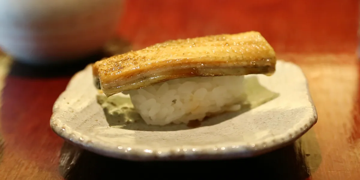 Featured image for Japan and US Clash Over Eel Protections Amid Sharp Decline in Freshwater Populations