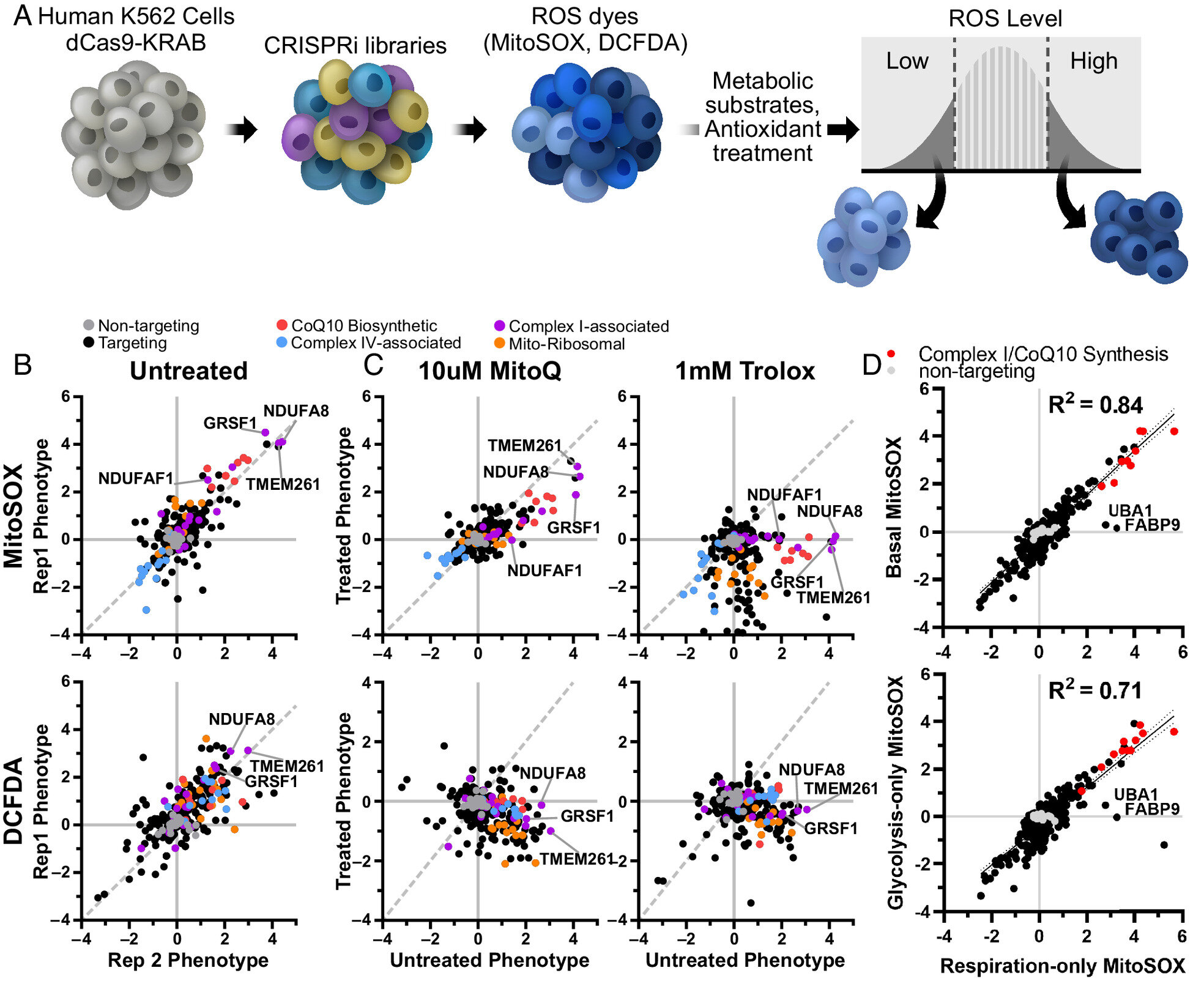 Featured image for "Maximizing Mitochondrial Energy Production: Minimizing Collateral Damage"