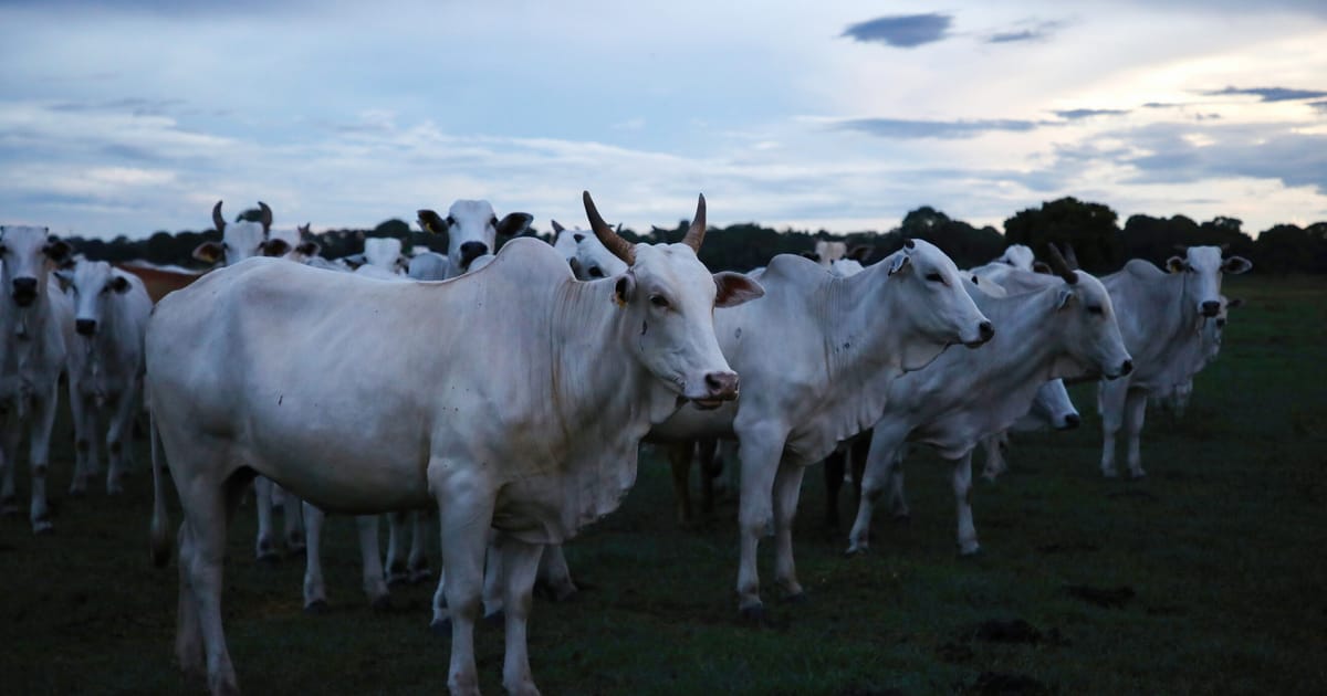 Featured image for EU and South America Reach Historic Mercosur Trade Agreement