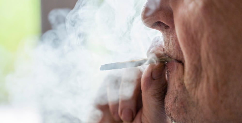 Featured image for Cannabis Stocks Surge Following Trump's Endorsements and Rescheduling Hopes