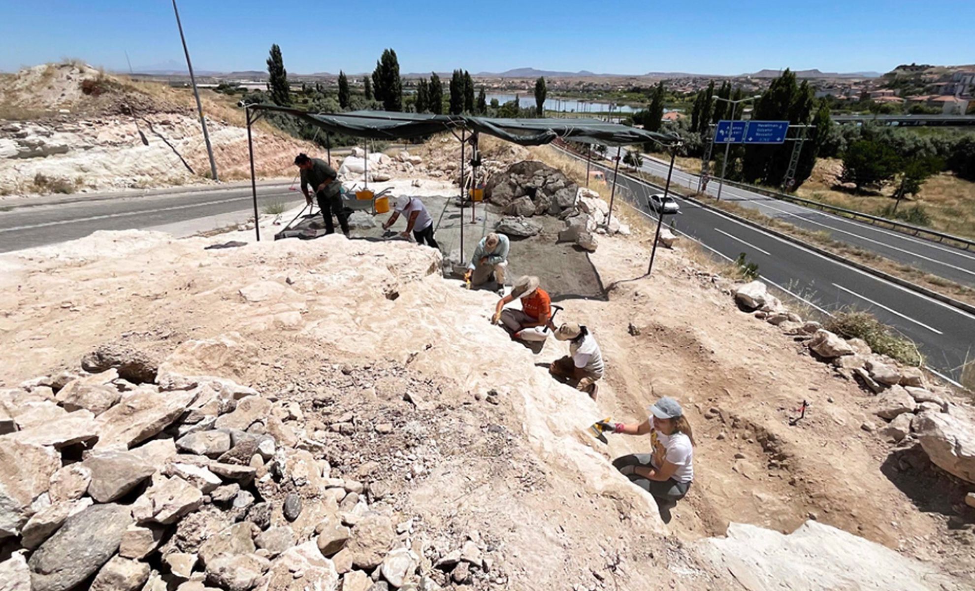 Featured image for Ancient Turkish Fossils Rewrite Mammal Evolution History