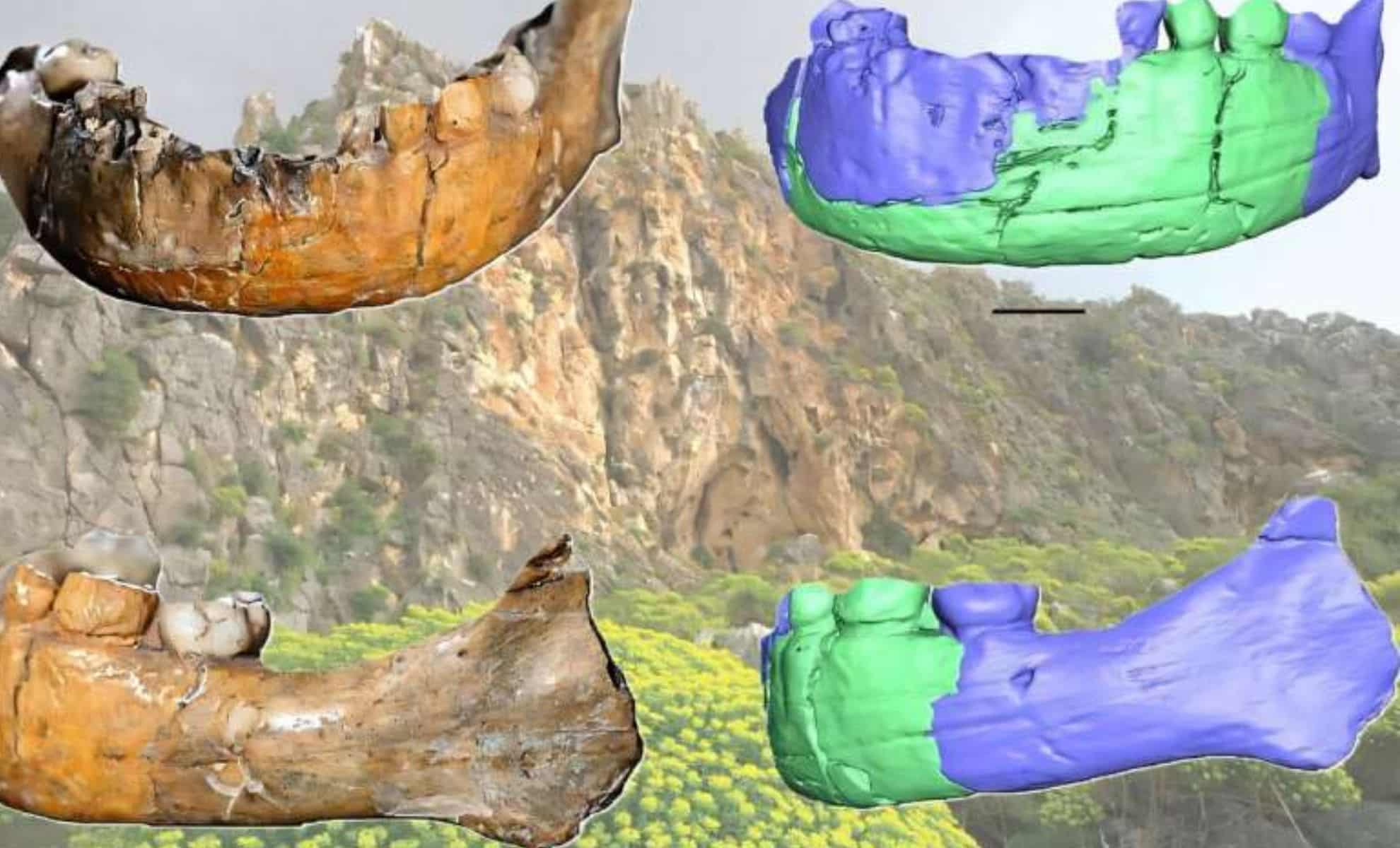 Featured image for Ancient Skull Analysis Reveals Complex Human Evolution and Possible Hybrid Origins