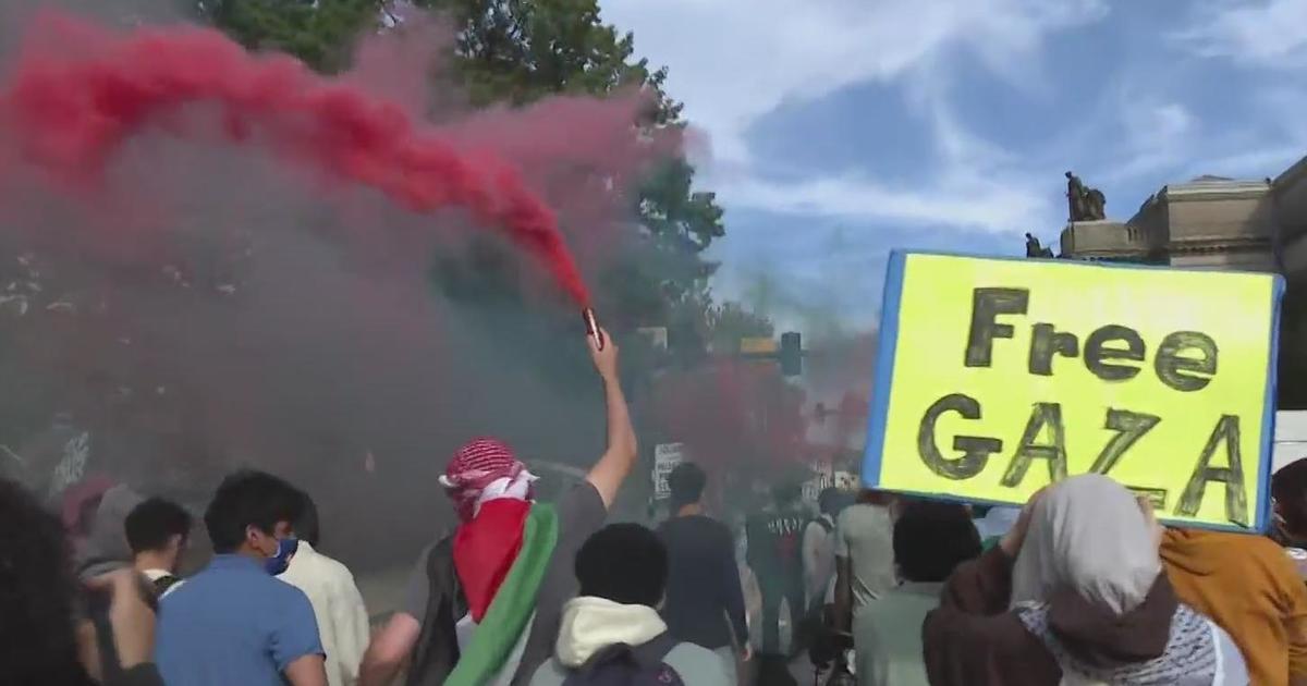 "Pro-Palestinian Rallies Draw Crowds and Controversy Across US Cities"