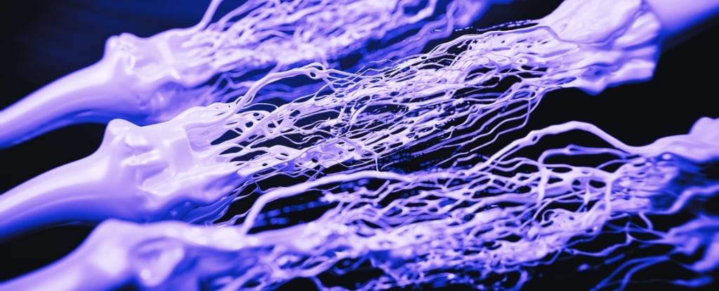 Featured image for Reevaluating the Cause of Alzheimer's: Insights from a Mouse Study