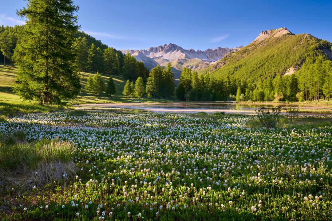 Featured image for "Discovery of Missing Toddler's Remains in French Alps Brings Closure"