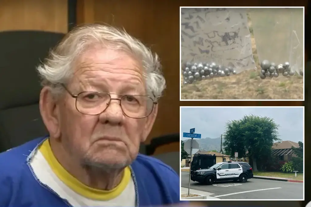 81-Year-Old 'Serial Slingshot Shooter' Dies Days After Arrest