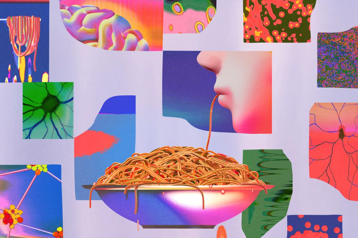 Featured image for The Link Between Comfort Foods and Mental Health