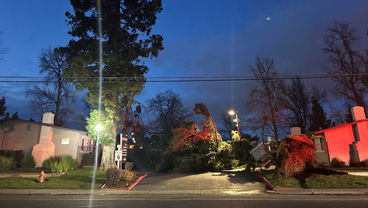 Featured image for Tree Fall Displaces 25 in Sacramento County Apartment Complex