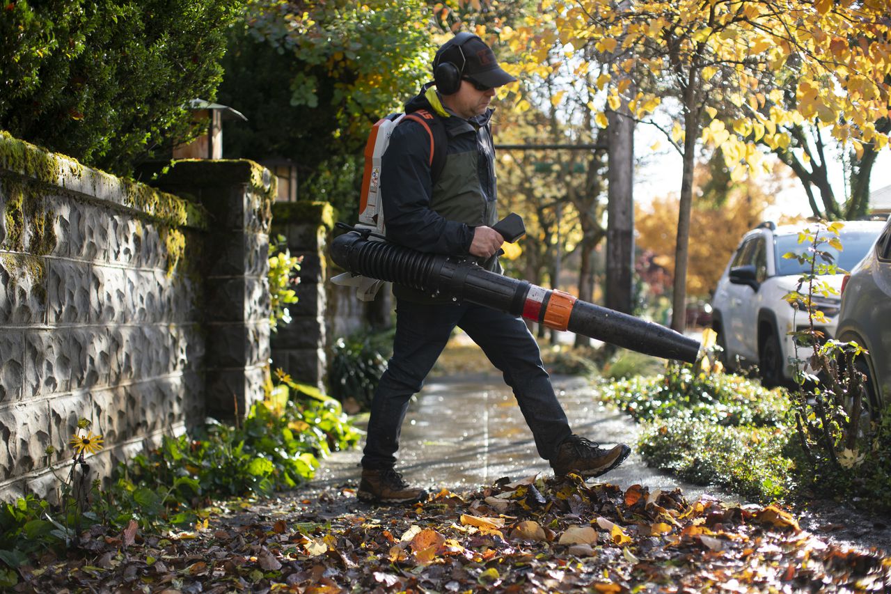 The Growing Trend: Gas Leaf Blower Bans Sweep Across Cities